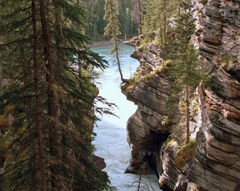 Fine Art Print, Athabaska-kloof, landschap, overlevende, Icefields Parkway, Jasper National Park, Alberta, Canada