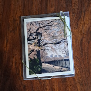 Geschenkdoos met acht blanco notitiekaarten van Central Park Cherry Blossoms