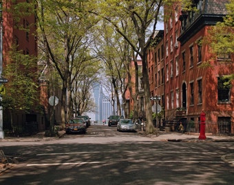 Fine Art Print, Brooklyn Heights, Cranberry Street, Urban Landscape, Brownstone, New York City, USA