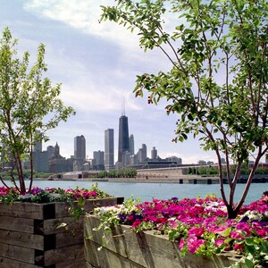 Fine Art Print, Chicago Skyline, Navy Pier, Hancock Building, Urban Landscape, Illinois, USA
