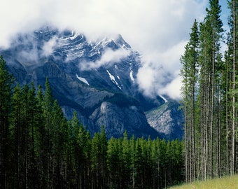 Fine Art Print, Banff Alberta, Mount Cascade, Mountain Landscape, Forest, Morning Mist, Alberta Canada