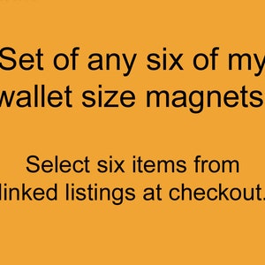 Six Pack Sets of my Wallet Size Magnets
