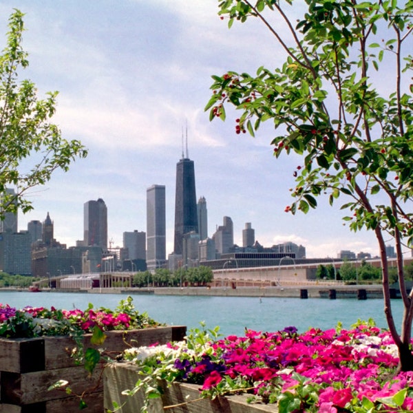 Large Magnet, Chicago Waterfront, Navy Pier Skyline, Hancock Building, Illinois USA