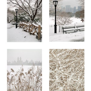 Scatola di otto biglietti di auguri natalizi vuoti, New York Winter