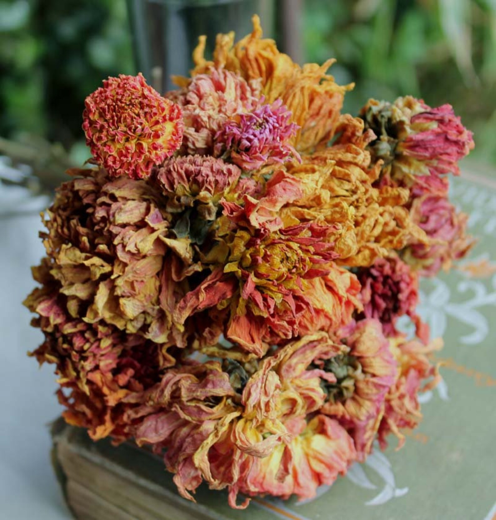 Naturally Dried Dahlia Flowers Golden Yellow Orange Dahlias Etsy
