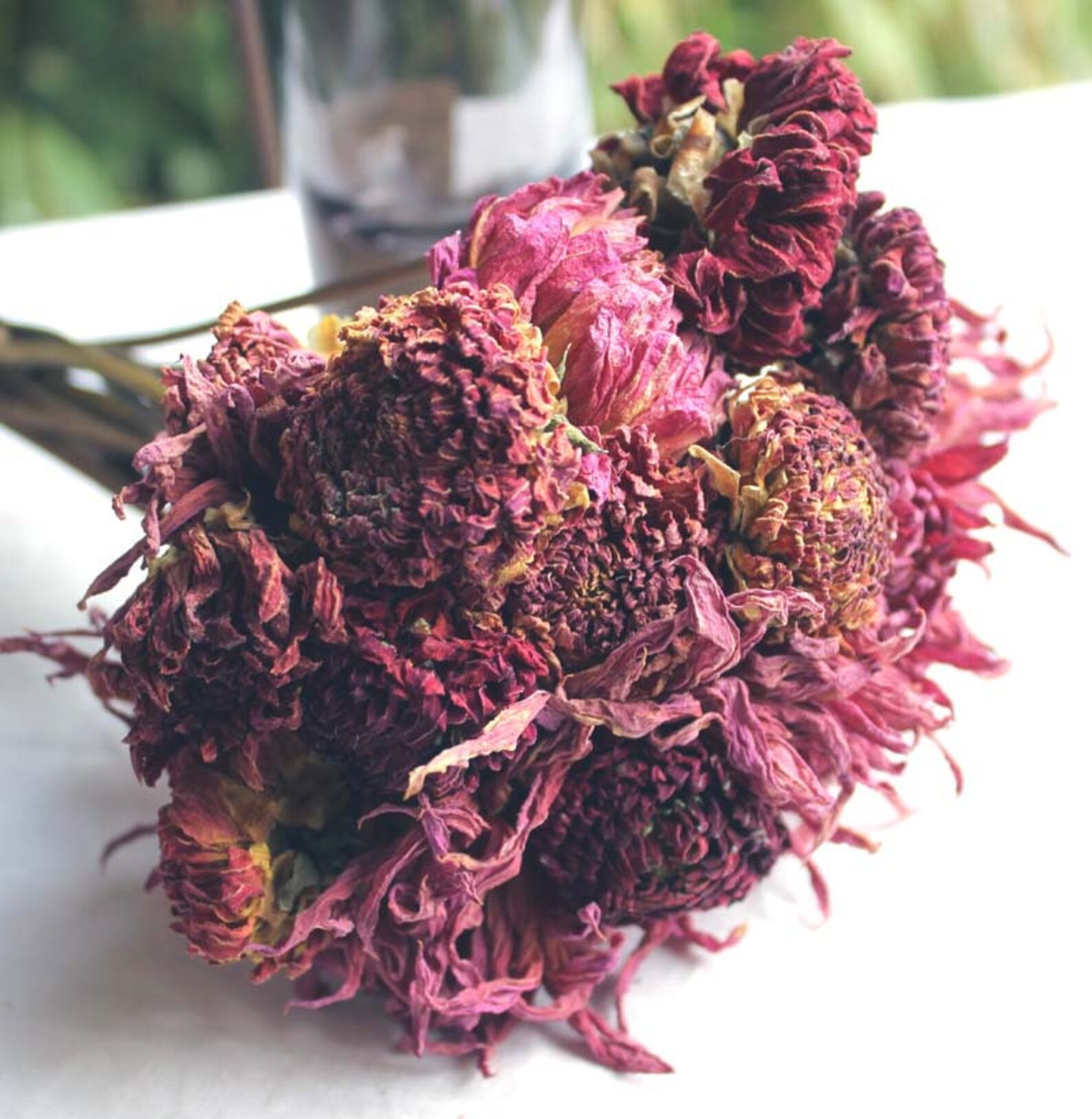 Naturally Dried Dahlia Flowers Mauve Dahlias Dried Organic Etsy