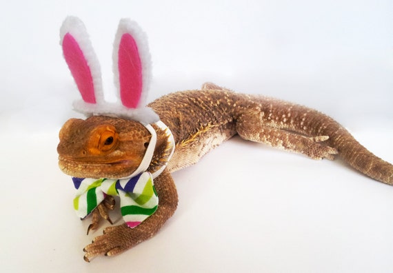 bearded dragon stuffed animal