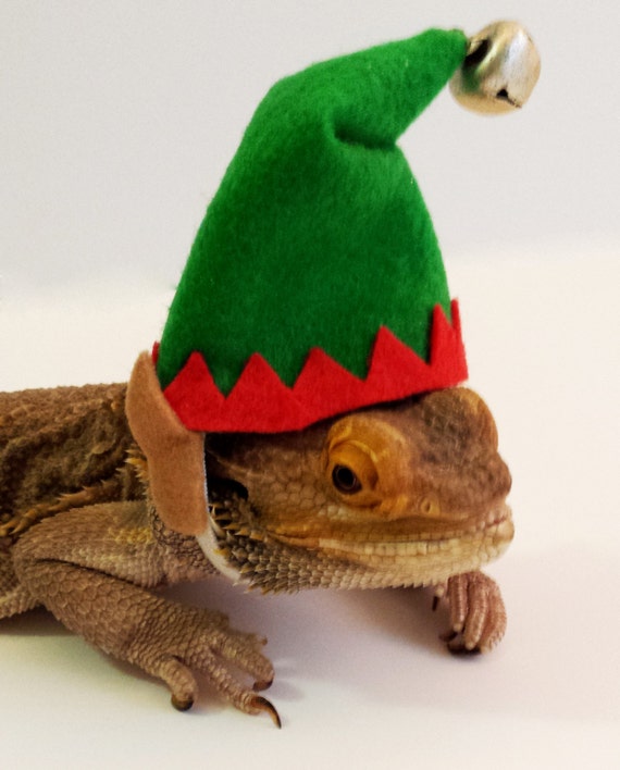 bearded dragon stuffed animal