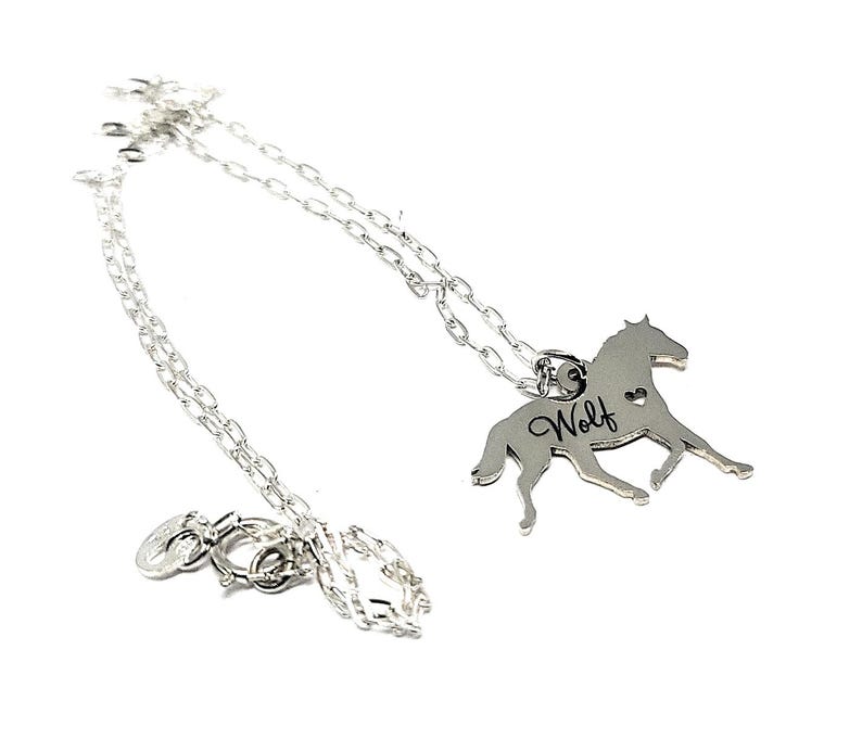 Personalized Golden Doodle Necklace – Sterling Silver Engraved Pet Pendant bild 8