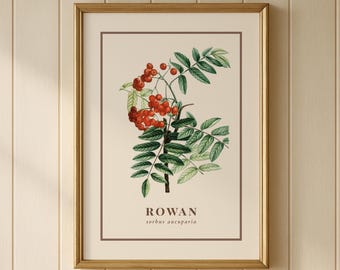Stampa botanica vintage di Sorbo, illustrazione rosso arancio (download digitale)