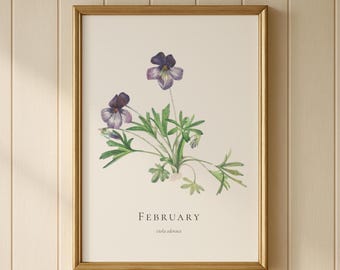 Februar Geburtsblume violetter Druck: Vintage botanische Blumenkunst, personalisiertes Geschenk mit Name & Datum