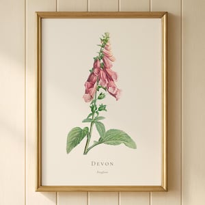 May include: A framed botanical print featuring a detailed illustration of a pink foxglove flower with green leaves on a cream background. The text "DEVON" and "Foxglove" is printed in black at the bottom of the artwork, enclosed in a gold frame.