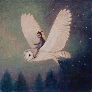 6 biglietti d'auguri Lucy Campbell, "Boa Noite", gufo, foresta, stelle, luna, cavaliere di gufi.