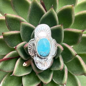 May include: A silver-toned ring with an oval, turquoise-colored stone at its center. The ring has a detailed, ornate design with sunburst and fan-like patterns. The ring is set against a backdrop of green succulent leaves.