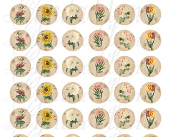 Vintage Flower Collage Sheet - 1" circles - use in resin pendants & bottle cap jewellery, magnets, scrapbooking - download digital file