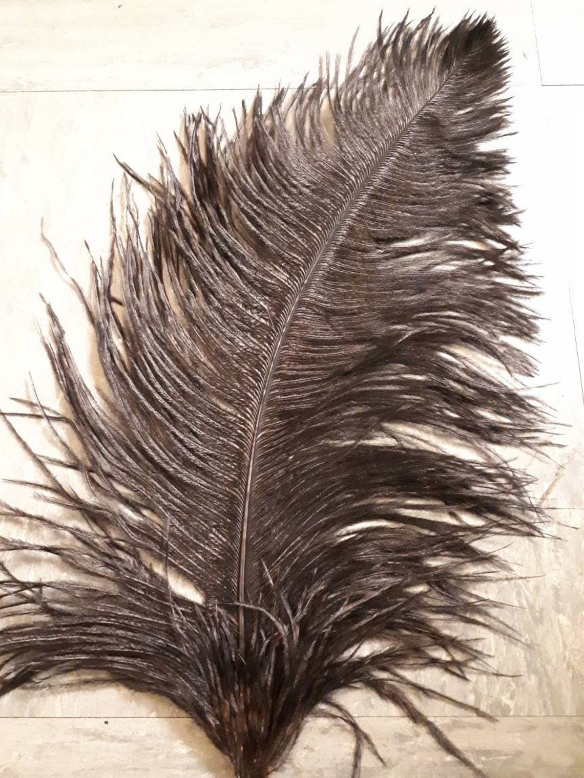 5 Black Medium Large Ostrich Feathers Plumes 15 17 35 Etsy UK