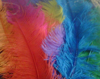 Plumas de avestruz grandes – Plumas de Spadone, colores surtidos, 19-29 pulgadas, suministros para manualidades