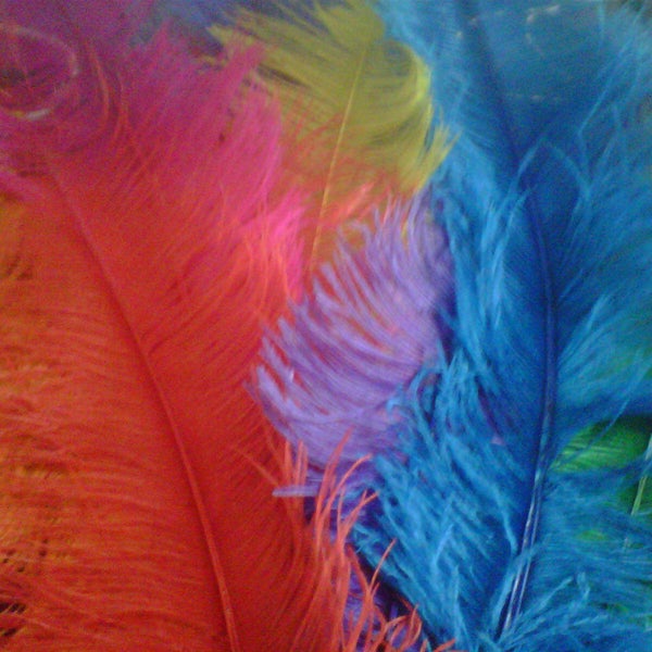 5 large Ostrich Feathers Spadone Plumes 19 - 29 inch 48 - 75 cm long Black white many mixed colours