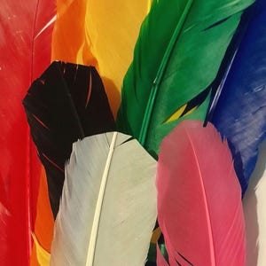 Può includere: Una collezione di piume colorate in tonalità di rosso, arancione, giallo, verde, blu, bianco e rosa. Le piume sono disposte a ventaglio, con le punte delle piume rivolte verso la parte superiore dell'immagine.