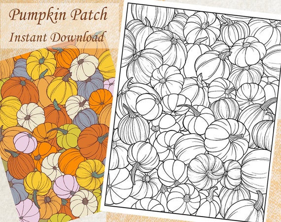 Pumpkin Patch Fall Autumn Summer Coloring Page for Kids and