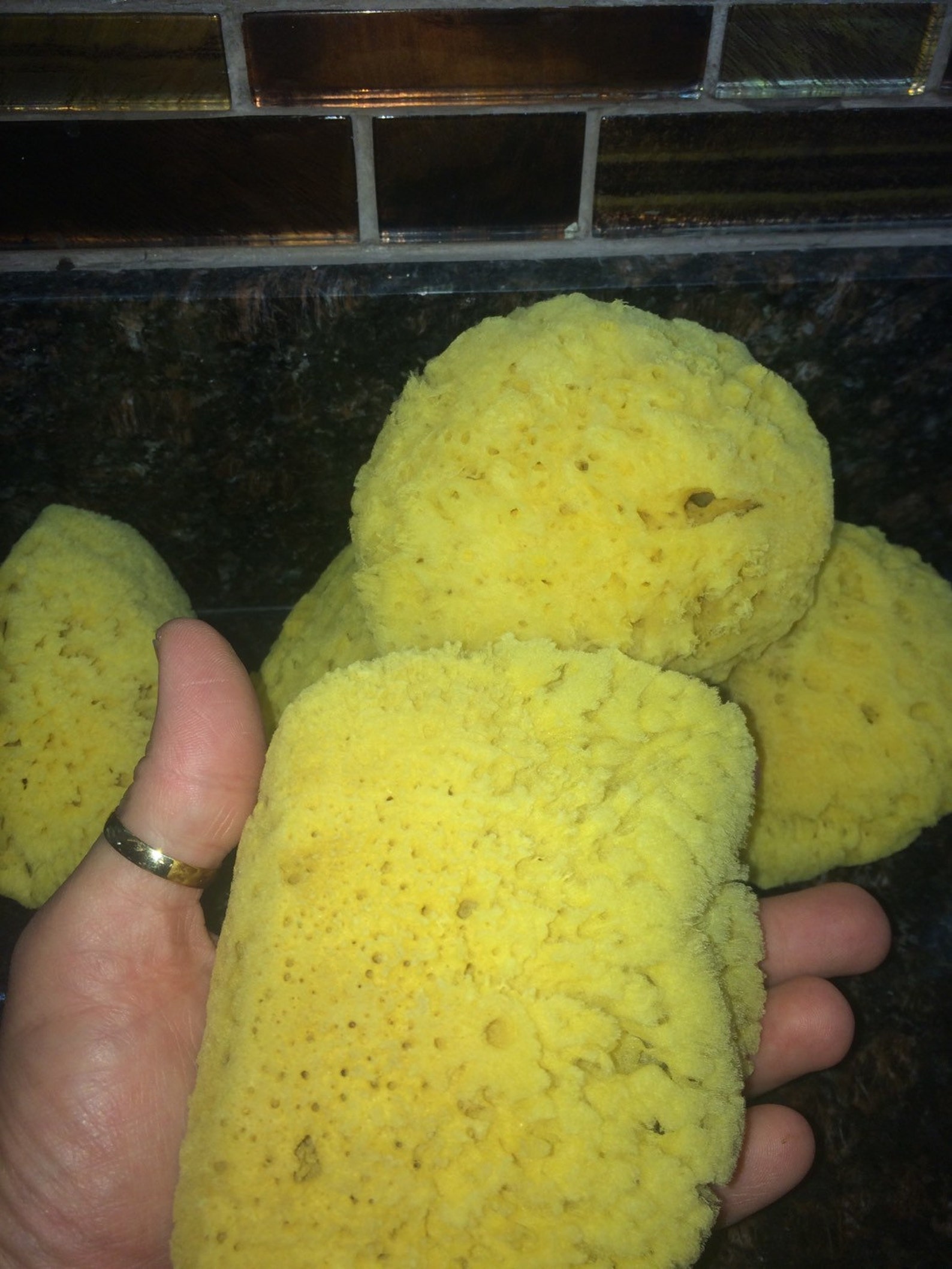 Dead Sea Sponge Natural Sea Sponge Bath Sponge Loofa Great Etsy