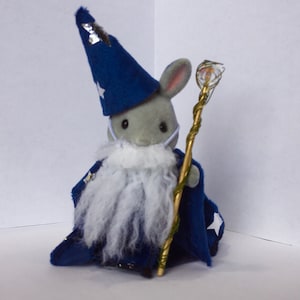 Wizard Costume