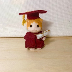 Standing Baby Graduation Robe