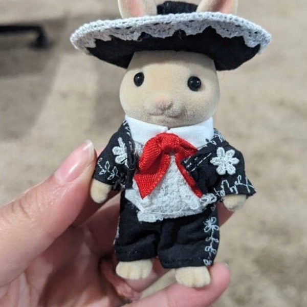 Mariachi Costume