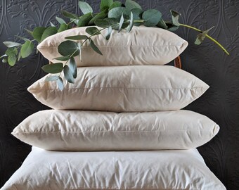 30x50 cushion insert