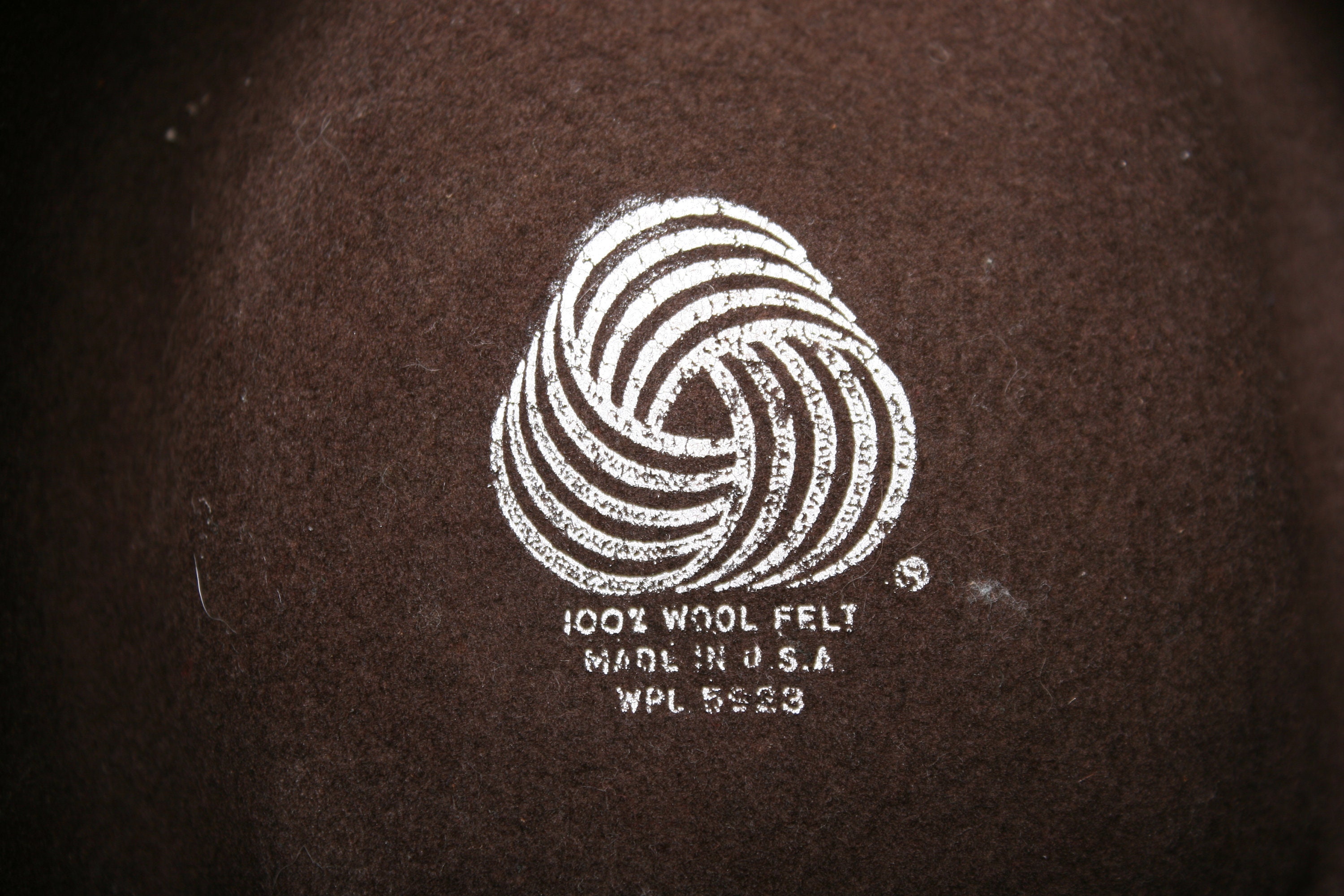 Dorfman Pacific Indiana Jones Men's Wool Felt Fedora: : Moda