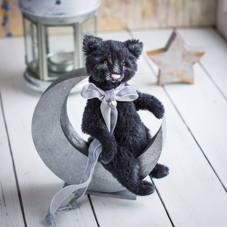 personalised cat teddy