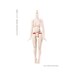 27cm Female Body SBH-M (Natural