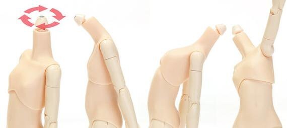 Obitsu Muñeca 24BD-F02W-S 24cm Obitsu Cuerpo Busto S Tipo Whity