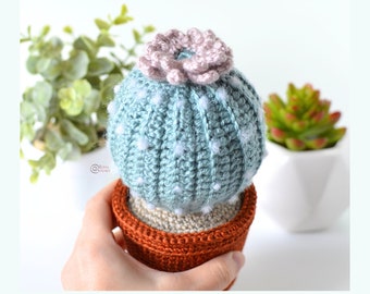 CROCHET PATTERN -  SUCCULENT in Pottery / Decoration / Home / Easy Instructions / Gift Idea / Handmade - pdf only