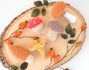 CROCHET PATTERN - MUSHROOMS Set/ Amigurumi / Stuffed Doll / Easy Instructions / Handmade/ Food / Play Toy / Fall / Autumn - pdf only