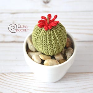 SUKKULENTE | PDF Amigurumi Häkelanleitung | Nur Englisch