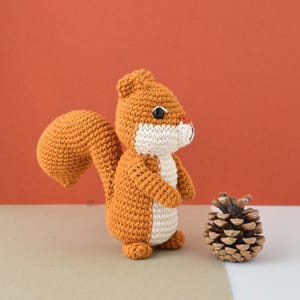May include: A handmade crochet squirrel in shades of orange and cream, with a fluffy tail and a small pine cone. The squirrel has black eyes and a red nose. The background is a mix of orange and white.