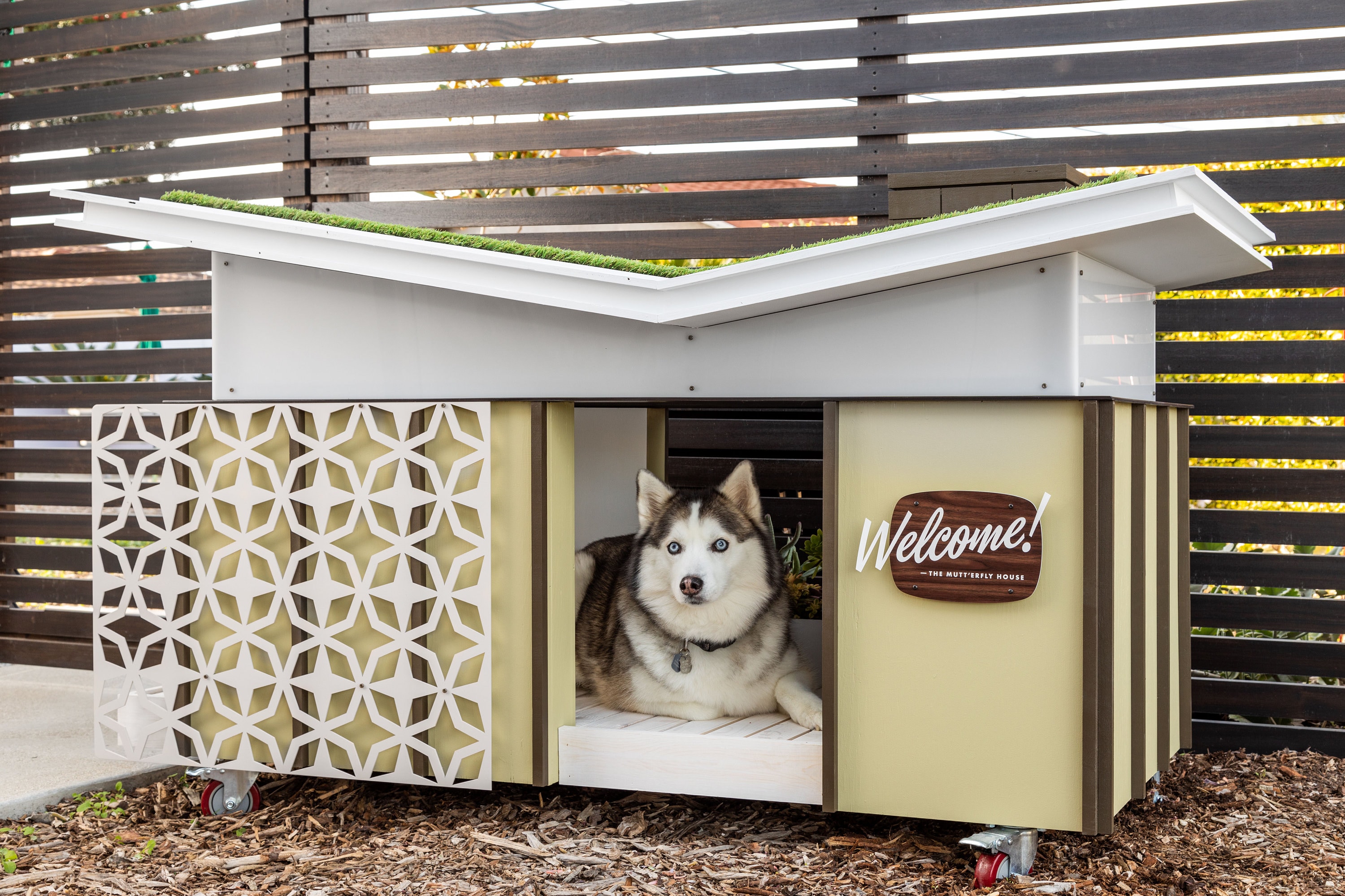 Modern Dog House. Mid Century Butterfly House Etsy Canada