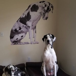 Custom Dog Photo Decal - Send Us Your Photo! | Multiple Sizes Available