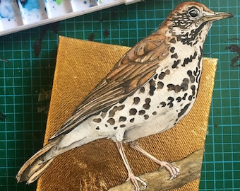 Wood Thrush Painting