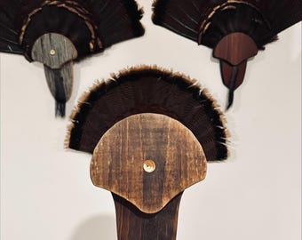 A Turkey Tail Mount with a pocket to fit the 12 gauge or 20 gauge shotgun shell that brought the bird down when you went out hunting.
