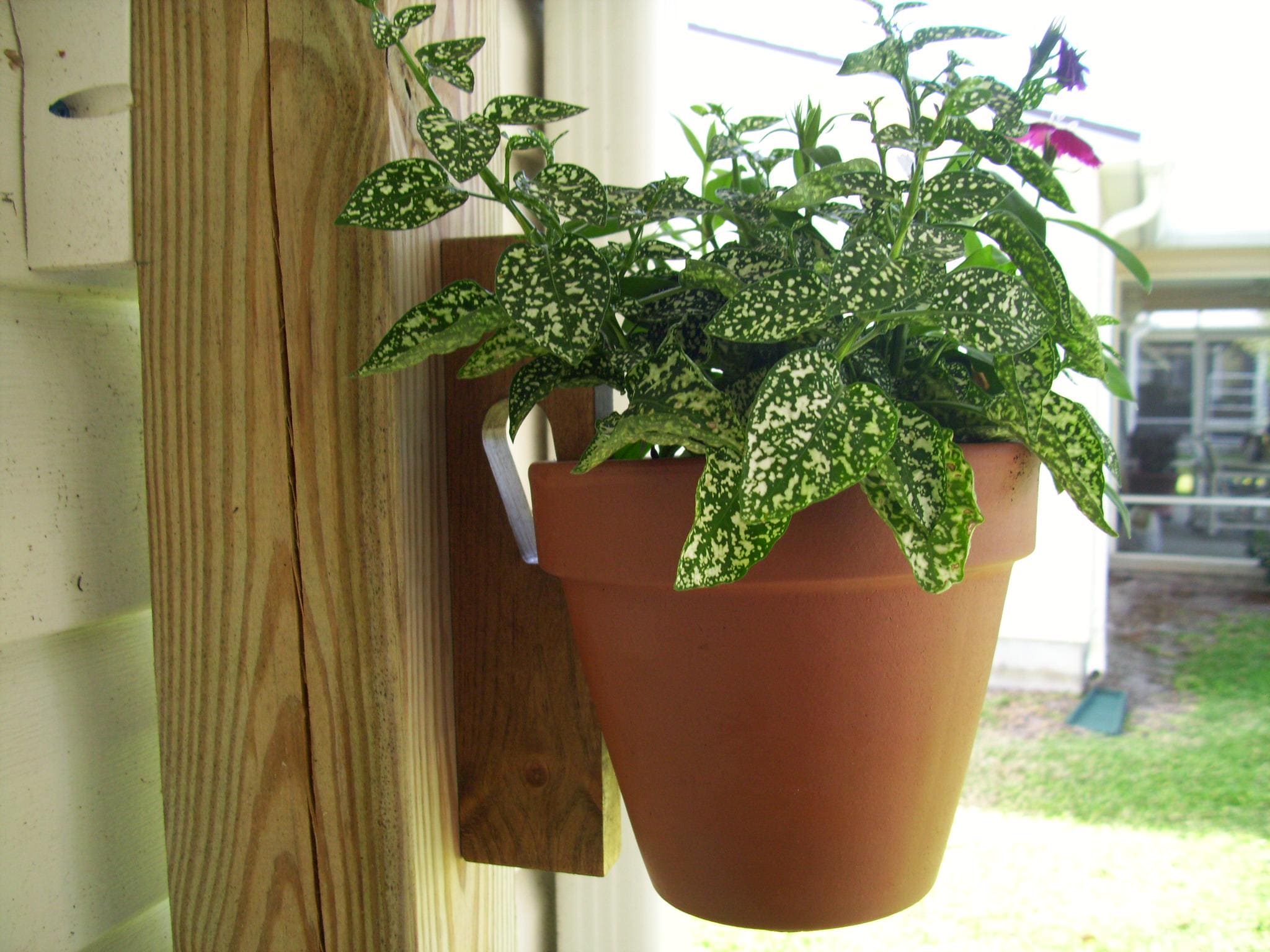 Flower Pot support hangers with screws for patio, garden, fence, pergola, arbor, wood post. Make your own vegetable garden in a small area.