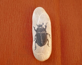 Painted Stone, Egyptian Scarab Beetle, Holy Sign,