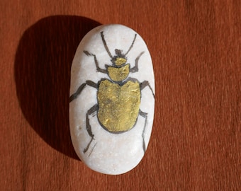 Painted Stone, Golden Beetle, Insekt on Riverstone, Show Beetle