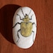 see more listings in the Painted River Stones section