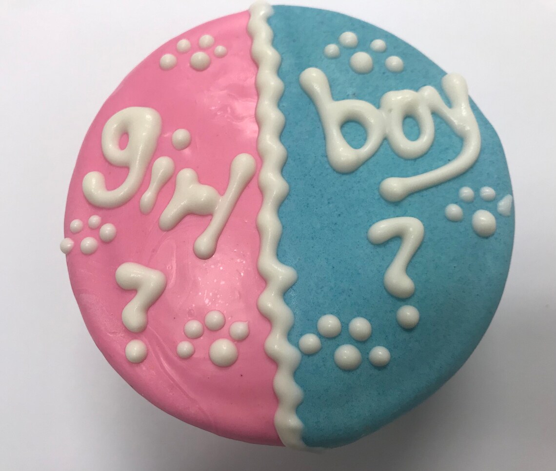 Dog Cakes//gender Reveal Soft Cakes for Dogs Etsy