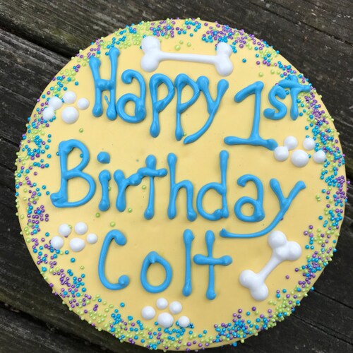 Dog Treats//homemade Customized Birthday Cake for Dogs Etsy