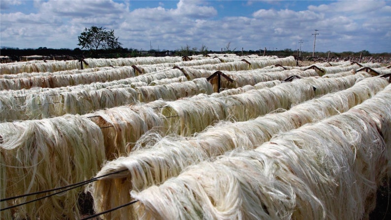 Natural Hammock Made with Thick Nylon Thread Traditional Mayan Hammocks image 10