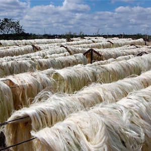 Natural Hammock Made with Thick Cotton Thread Traditional Mayan Hammocks image 8