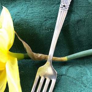 May include: A silver fork with an ornate handle and a floral design. The fork is lying on a green fabric surface.